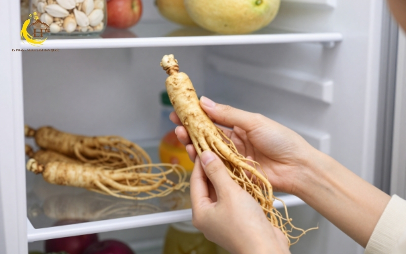 Cách bảo quản nhân sâm tươi trong tủ lạnh