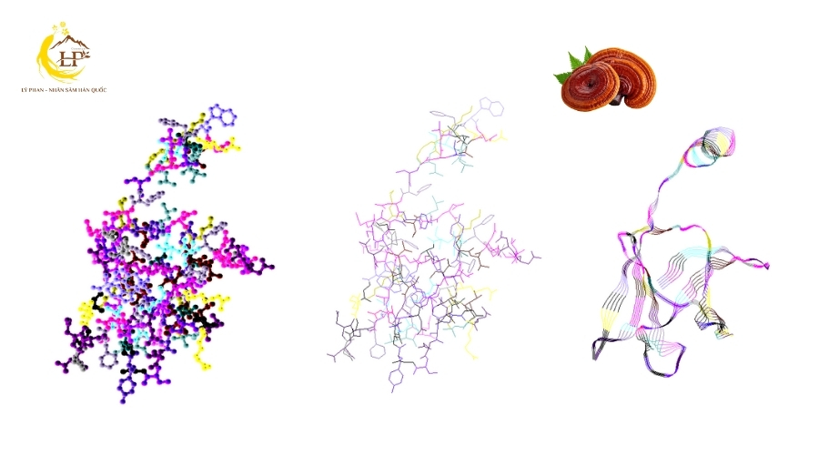 Lingzhi-8 Protein
