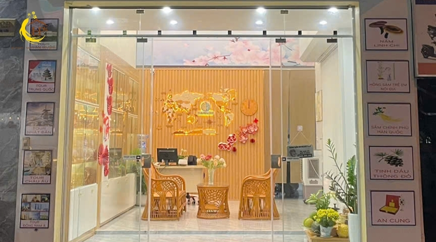 Nhân sâm Lý Phan – Đẳng cấp sâm tươi nhập khẩu