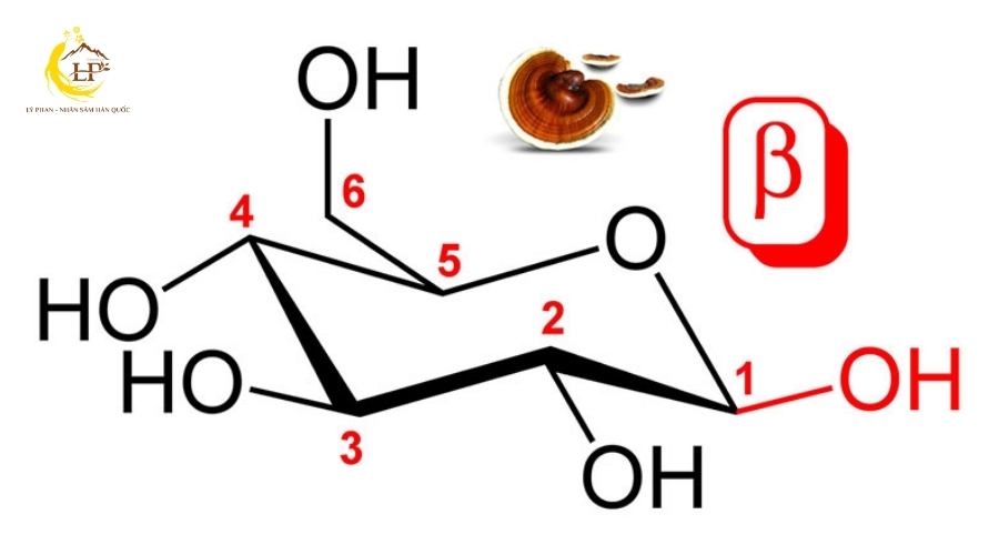 Polysaccharides (Beta-D-Glucan)
