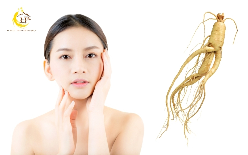 Sâm tươi dùng trong làm đẹp Sâm tươi dùng trong làm đẹp