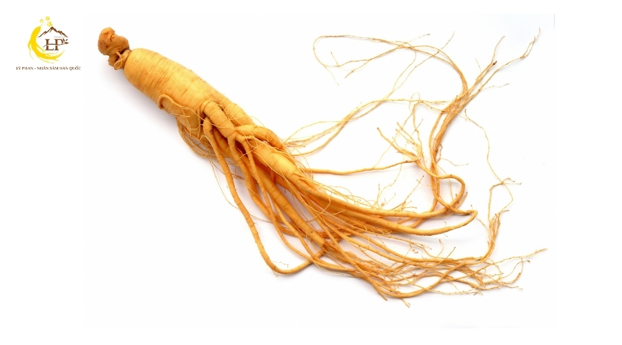 Tiêu chuẩn về hình dáng và kích thước