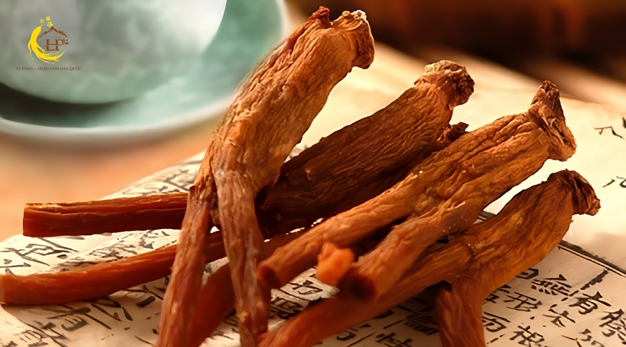 Hồng sâm Red Ginseng là gì?
