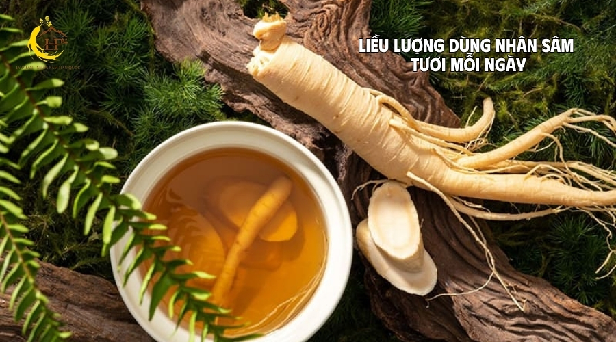 Liều lượng dùng nhân sâm tươi mỗi ngày