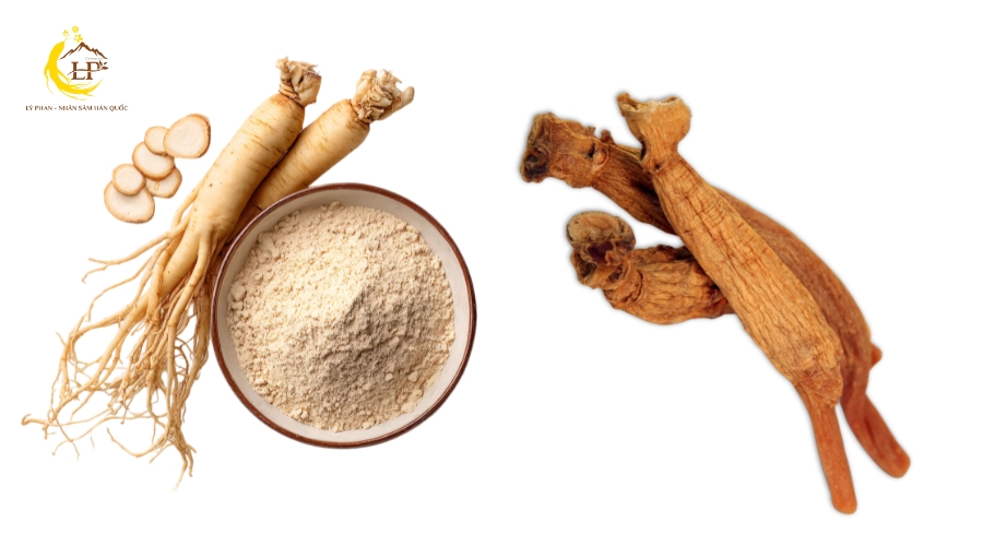Nên mua nhân sâm tươi Hàn Quốc hay hồng sâm?