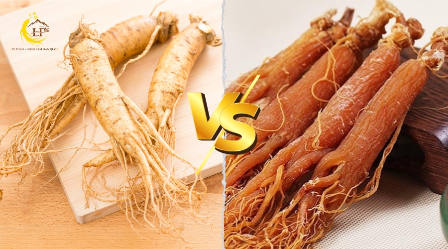 Nhân sâm tươi Hàn Quốc và hồng sâm