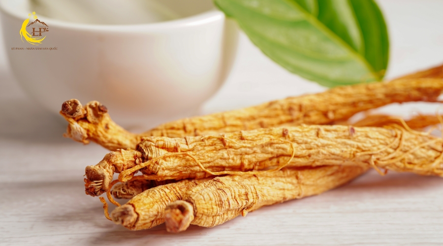 Sâm khô Hàn Quốc là gì?