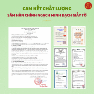 Nước hồng sâm Hovenia Dulcis