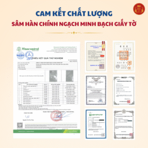 Nước Hồng Sâm Hàn Quốc DKG