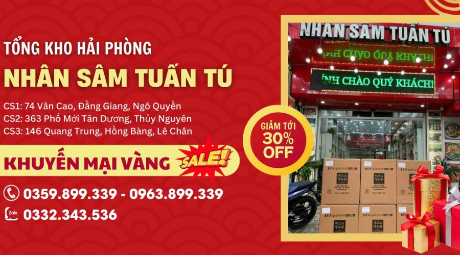 Nhân Sâm Tuấn Tú Nhân Sâm Tuấn Tú